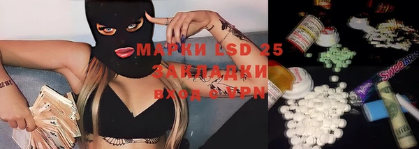 ешки Гусев