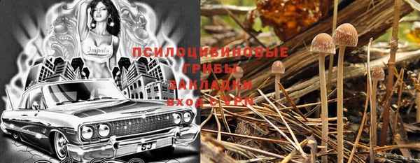 ешки Гусев