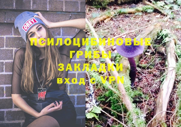 ешки Горно-Алтайск